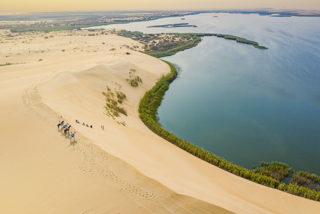 The Vibrant Oasis of Life