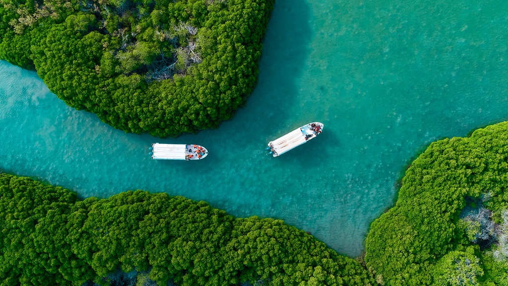 Farasan Island Trip