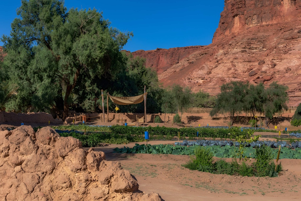 Princess Nora Farm & Lunch Experience
