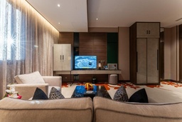 Presidential Suite Single