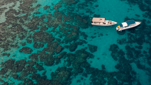 Diving Experiences