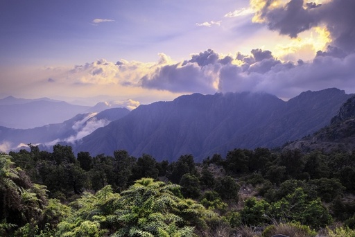 Tanomah Peaks Adventure