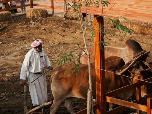 Farm Experience at Liwan Farm