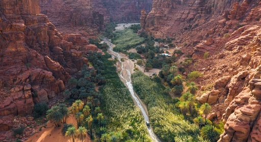 Discover The North From AlDisah To AlUla