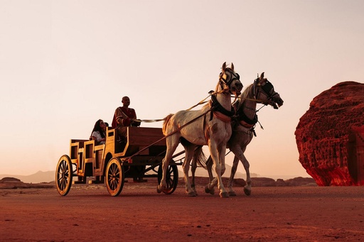 [D0404119] Hegra by Horse Carriage