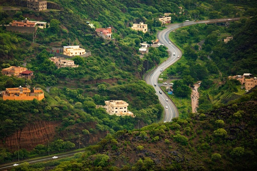 متحف بن عدوان