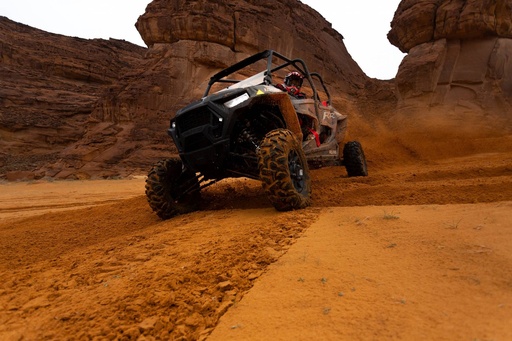 [D010144] Buggies Experience