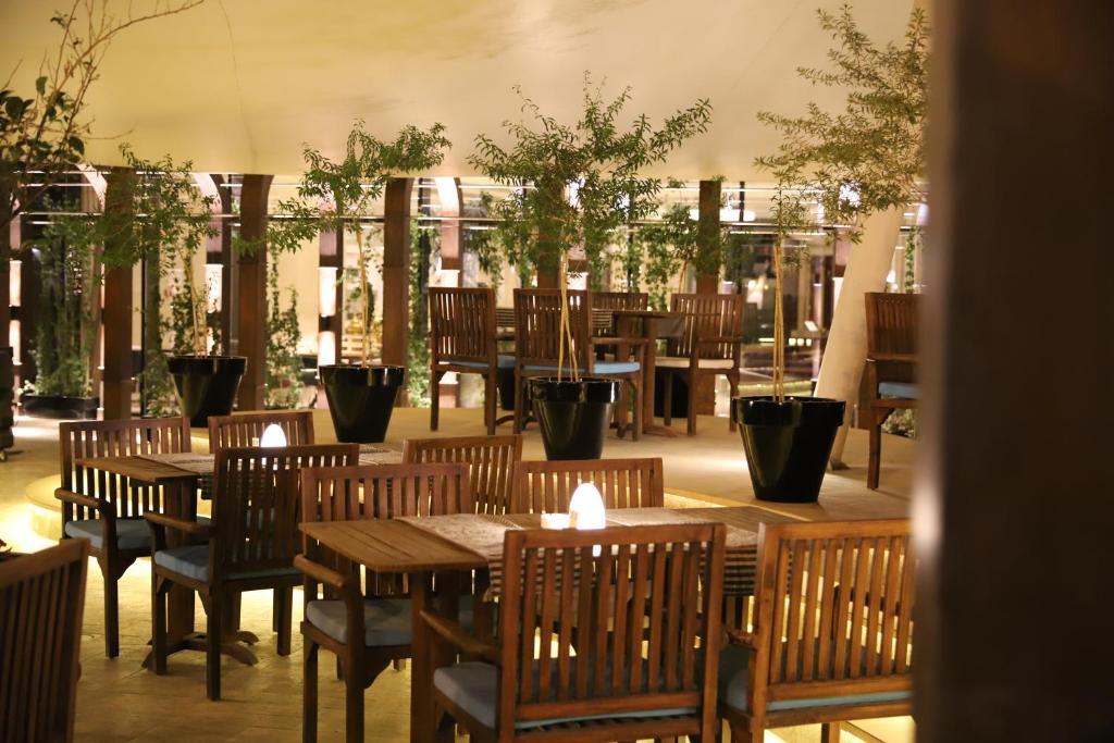 Somewhere Al Ahsa Hotel