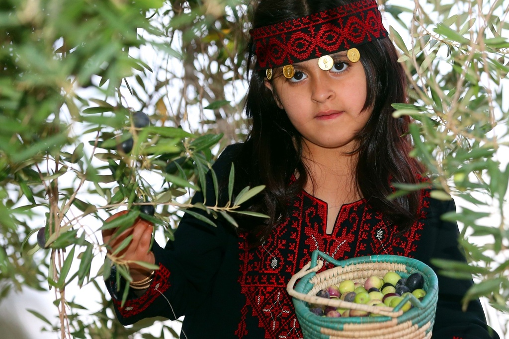 The Al Jouf Olive Farm