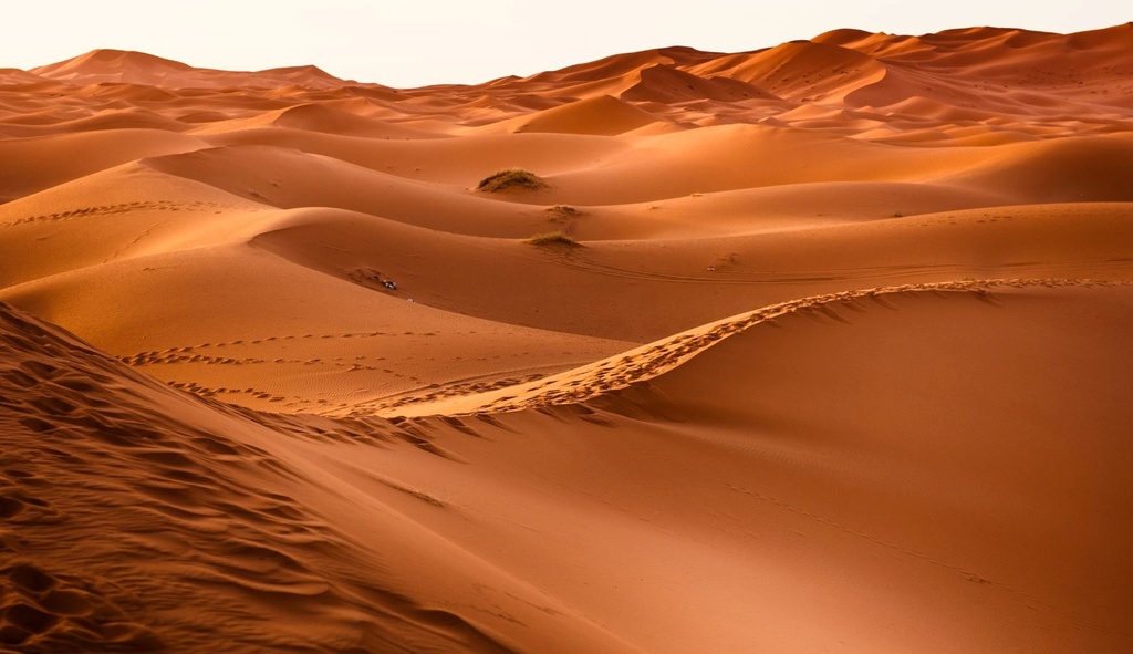Safari Offroad Riyadh