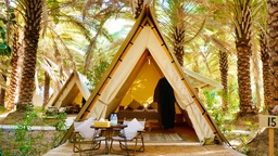 Shared-Facilities King Tent