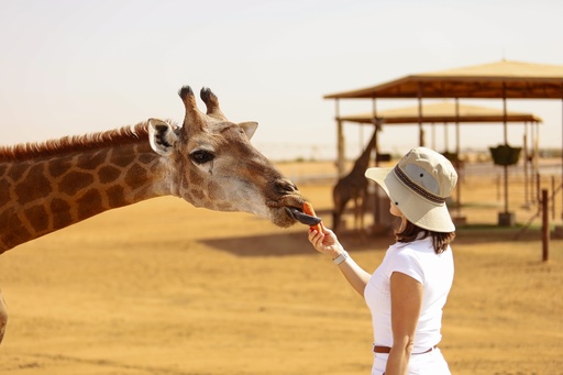 [D010232] wildlife safari