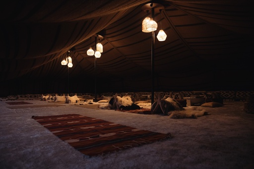 Echoes of Arabia