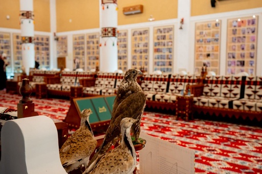 Al Oqilat Historical Museum
